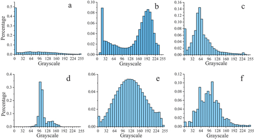 Figure 5. Grey level histograms of different kinds of images: (a)-(f): datasets D1~ D6.