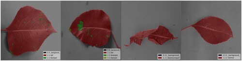 Figure 3. Examples of annotated images.