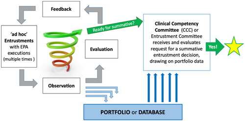 Figure 2. General flow of workplace-based assessment data to support summative entrustment decisions making.