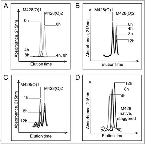 Figure 6 Effect of Msr enzymes on oxidized M428 containing peptides from a 12 hour Xenon irradiated IgG2 sample. The loss of oxidized peaks is shown in (A) (MsrBA), (B) (MsrA) and (C) (MsrB). The increase in the native peak using MsrB is shown in (D).