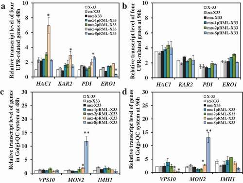 Figure 3. Comparison of the transcript level of genes participated in UPR and Golgi-QC system in the strains with different lipase gene dosage.