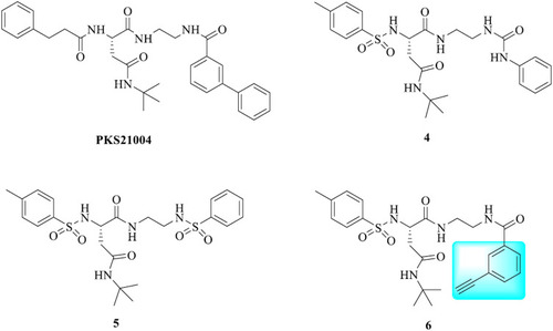 Figure 6 AsnEDA constructed peptidomimetic analogue PKS21004 and its derivatives.