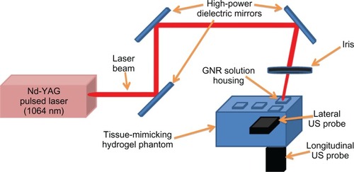 Figure 2 Scheme of the experimental setup adopted for studying the optoacoustic behavior of gold nanorods (GNRs).Note: Main setup characteristics are indicated in the figure (see the text for further details).Abbreviation: US, ultrasound.