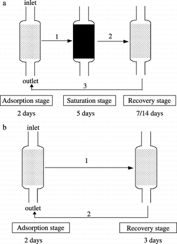 Figure 1  Experimental process for the recovery experiment. (a) Process for 7-day and 14-day incubation with saturation and (b) process for 3-day incubation without saturation.