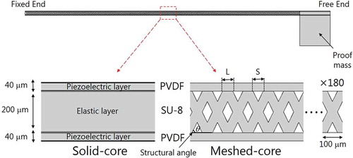 Figure 2. Schematic of a FEM structural analysis model. In the meshed-core structure, the line length L and line spacing S satisfy the relation L + S = 100 μm.