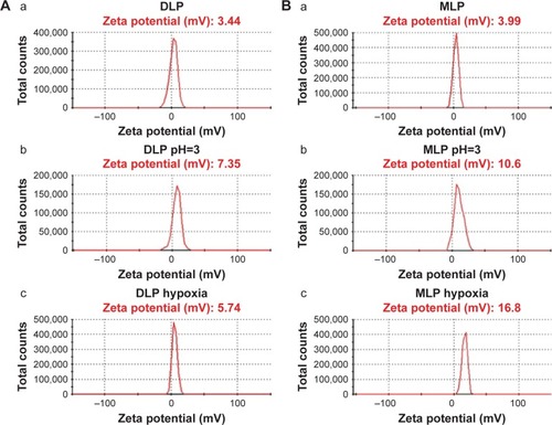 Figure 3 The spectrometer assay for hypoxia response experiment of MLP and DLP.Notes: (A) The zeta potential of DLP (a) in pH=7.4 PBS, (b) in pH=3 PBS, (c) under hypoxia. (B) The zeta potential of MLP (a) in pH=7.4 PBS, (b) in pH=3 PBS, (c) under hypoxia.Abbreviations: DLP, Bis(palmitoyloxy)-3-(dimethylamino)propane liposomes; MLP, O′1,O1-(3-(dimethylamino)propane-1,2-diyl) 16-bis(2-(2-methyl-5-nitro-1H-imidazol-1-yl) ethyl) di(hexadecanedioate) liposomes; PBS, phosphate-buffered saline.