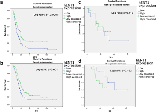 Figure 4 hENT1 expression level is related to patient prognosis in the Gemcitabine-treated group. (a and b) In the Gemcitabine-treated group, patients with high hENT1 expression tended to have obviously longer DFS and OS (p<0.0001 and p=0.001). (c and d) There was no significant correlation between hENT1 expression and prognosis in the untreated group (p=0.413 and p=0.152).