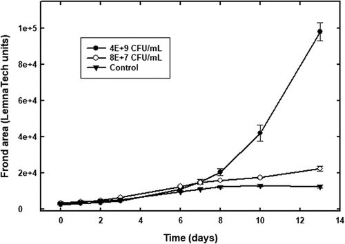 Figure 4. Duckweed frond growth assay indicating bacterium inoculum-treated plants exhibit significant growth promotion. Error bars represent ± one standard error of the mean.