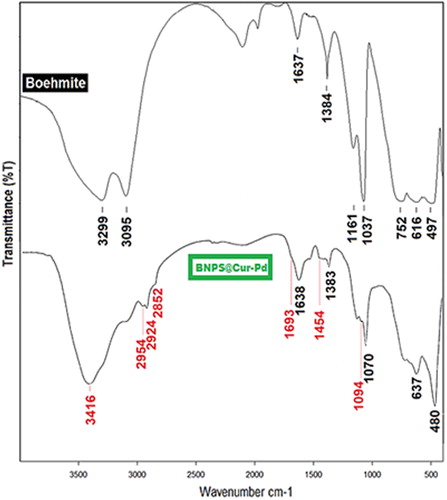 Figure 1. FT-IR spectra of BNPs@Cur and BNPs@Cur-Pd nanocatalyst.