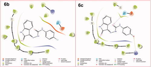 Figure 4. The 2D interaction of the compounds 6b and 6c within the active site of EGFR.