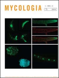 Cover image for Mycologia, Volume 108, Issue 3, 2016