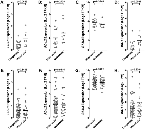 Figure 4. Disease status does not significantly influence the expression of immune checkpoint genes. Comparative analysis of (A, E) PD-L1, (B, F) PD-L2, (C, G) B7-H3, and (D, H) IDO1 gene expression in diagnostic versus metastatic osteosarcoma samples using RNA-sequencing data from the (A-D) St. Jude osteosarcoma (n = 23) and the (E-H) NCI TARGET osteosarcoma (n = 81) datasets. Statistical significance (p ≤ 0.05) determined using unpaired two-tailed t-tests with Welch’s correction. FPKM, fragments per kilobase of transcript mapped; TPM, transcripts per million.