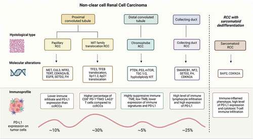 Figure 1. Variant histologies and their characteristics in renal cell carcinoma.