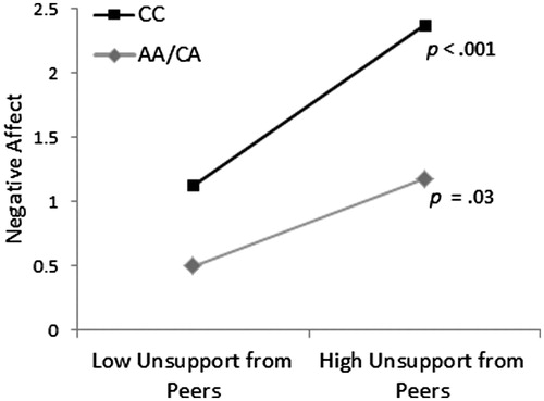 Figure 1. The relationship between unsupportive social interactions and negative affect as moderated by the CD38 rs3796863 polymorphism (b = −.28, t = −2.88, p =.004). Perceptions of unsupportive social interactions from peers were associated with greater reports of negative affect, and this association was stronger among those with the CC genotype of the CD38 polymorphism compared to A carriers.