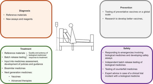 Figure 1. Contribution that standardization institutions can make to the care of patients with rare diseases.Standardization institutions contribute to the accurate diagnosis, and appropriate and safe treatment of patients with rare diseases, as well as to the prevention of these diseases. This is possible by the provision of reference materials and assays, performing independent control testing to assure the safety and potency of medicinal products, and undertaking research to enable these activities.