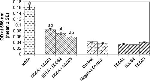 Figure 6. Lipid peroxidation measured in rat liver after 21 days of treatment with NDEA alone and together with different amounts of epigallocatechin gallate.