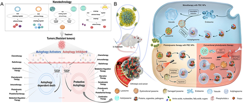 Figure 4 Co-delivery of autophagy regulators and anti-tumor therapies based on nanotechnology. (A) The model of the co-delivery method; (B) The example of nanotechnology based co-delivery of autophagy inhibitors and anti-tumor therapies.