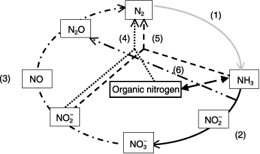 Figure 1  Microbiological processes in the nitrogen cycle. (1) Nitrogen fixiation, (2) bacterial nitrification, archaeal nitrification and heterotrophic nitrification, (3) aerobic and anaerobic bacterial denitrifiction, nitrifer denitrification, fungal denitrification and archaeal denitrification, (4) and (5) co-denitrification (by fungi), (5) anammox and (6) N2O production during nitrification (ammonia oxidation).