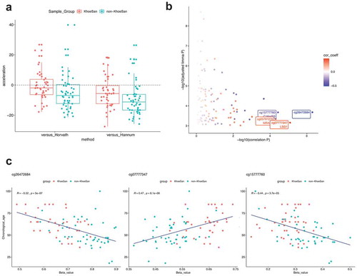 Figure 7. DNA methylation age and age-associated methylation sites. (a) Difference (acceleration) between researcher-assigned or self-reported chronological age and DNA methylation age inferred by two computational models (Horvath and Hannum). All models tend to underestimate the age, regardless of the group. In many cases a large (10 or more years) discrepancy is seen. Comparison of age distributions between sample groups is shown in Supplemental Figure 12. (b) FDR-adjusted p values from differential methylation analysis are plotted against the p values for correlations between methylation beta-value and chronological age. Colour scale denotes correlation coefficients. Top probes with the largest association between methylation beta-value and age are labelled. (c) Scatter plots showing top three correlations between methylation beta-value and age