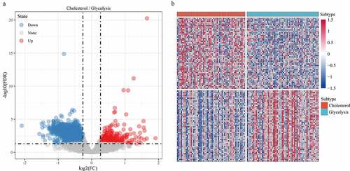 Figure 6. Identification of differentially expressed genes. A: A total of 1966 differentially expressed genes, of which 302 are up-regulated and 1664 are down-regulated. B: 100 most expressed genes were selected for heatmap