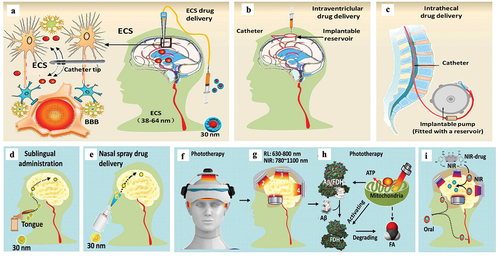 Figure 6. Multiple patterns of invasive and noninvasive administration for treating brain diseases. a. Brain ECS administration. b. Intraventriclular drug delivery. c. Intrathecal administration. D-E. Noninvasive drug delivery for treating brain diseases, including: sublingual administration (d) and Nasal spray (e). f, g. Phototherapy with red light (RL) at 630 ~ 680 nm or Near-infrared light (NIR) at 780 ~ 1100 nm. h. Mechanisms of phototherapy to reduce Aβ toxicity. i. Near-infrared light (NIR)-activated photosensitive drug release.