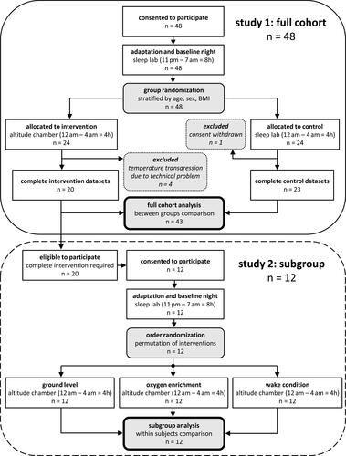 Figure 1 Study flow detailing participants and protocol.