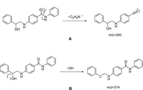 Figure 21 Mass fragmentation of anilinoalcohols. (A) Amide fragmentation and (B) OH loss.