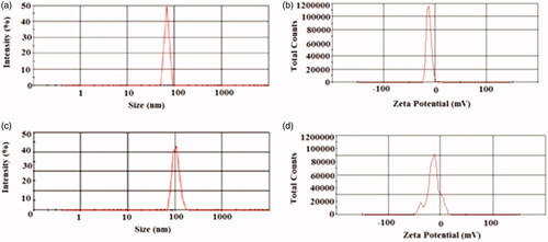 Figure 1. Particle size distribution (PSD) and the zeta potential (ZP) amounts of the prepared nanoparticles: (a) PSD of free MSNs, (b) PSD of meropenem-loaded MSNs, (c) ZP of free MSNs and (d) ZP of meropenem-loaded MSNs.