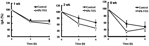 Fig. 4. Changes in immunoglobulin A (IgA) concentrations during the incubation of cecal contents (expt 2).Notes: Cecal contents were incubated under nitrogen gas at 37 °C for up to 6 h. After incubation, IgA concentrations were determined and compared with values of 0 time incubation as 100%. Each point represented the mean ± SE, n = 6.