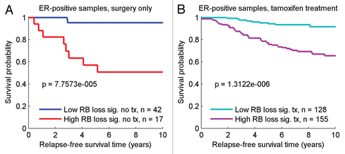 Figure 4 Relapse-free survival in the ER-positive population, stratified by treatment status and RB-loss signature. (A) In ER-positive samples with surgery alone, poor outcome is associated with high RB-loss signature [51% 10 yr relapse-free survival (rfs)] versus low RB-loss signature (95% 10 yr rfs). (B) In ER-positive patients treated with Tamoxifen, outcome in high RB-loss signature samples is improved (66% 10 yr rfs) relative to low RB-loss signature samples (92% 10 yr rfs).