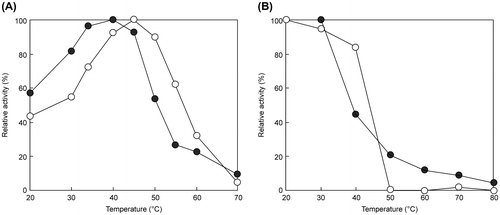 Fig. 8. Effect of temperature on the activity (A) and thermostability (B) of EfEG1 and EfEG2.