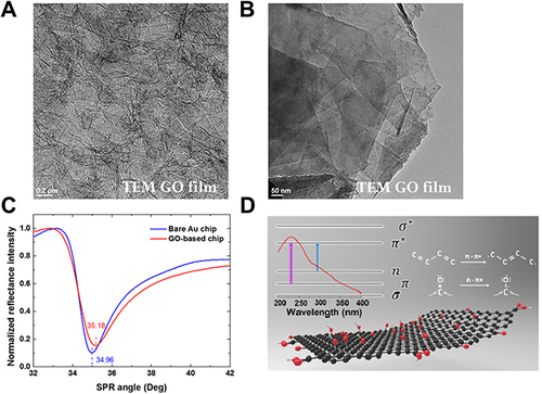 Figure 2 Microscopic morphology and chemical structure of GO sheets. (A and B) High-resolution TEM images of a GO sheet with a layer-by-layer lamination and organic shell matrix structure. In Figure 2B, the TEM image features a 50 nm ruler scale, and the observed stacked and wrinkled flakes suggest that most GO sheets have a diameter of less than 50 nm. (C) The graph of SPR characteristic curves between bare Au chips and GO-based chips, which was generated using the OriginPro 9.1 software. The SPR angular displacements of bare Au and GO-based chips are 34.96° and 35.18°, respectively. (D) The UV-Vis absorption spectrum and chemical structure of GO sheets. An absorption peak at around 230 nm represents the π–π* absorption peak of aromatic C-C bonds in different aromatic sp2 cluster sizes, and a weak shoulder at around 300 nm represents the n–π* absorption peak because of epoxy and carbonyl bonds.