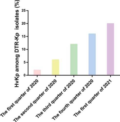 Figure 2 Percentage of the hypervirulent Klebsiella pneumoniae (hvKp) strains among the identified DTR-Kp strains from January 2020 to March 2021.