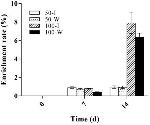 Figure 4. Enrichment efficiency of B. campestris L. hairy roots at different Cd concentrations. I: transgenic IRT1 hairy root; W: wild-type hairy root; p < 0.05.