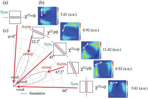 Figure 12. SHG enhancement. (a) The contribution of χ(2) for the Ni sample at φ = 0°, 22.5°, 45°, 67.5°, and 90°. Red dotted lines indicate the mirror plane. (b) Electric field distributions for the Ni NC-MCs calculated for the configurations at an incidence angle of 45° and φ = 0°, 22.5°, 45°, 67.5°, and 90° by using the FDTD method, and an enhancement factor (EF) curve for the sample rotation angle φ. The effective refractive index due to the nanostructures on top of the microgrooves, η = 1.333 for the Ni sample, was used in this calculation. |E| is the electric field magnitude. The color scale bar indicates the electric field strength and the values show the local electric field magnitude. Double arrows indicate the electric field vector E of an incident beam. Blue dotted curve represents EFs consisting of the |E|2 values calculated by using the FDTD method. (c) Simulated SHG intensity curves for the sample rotation angle φ. The red curve is the theoretical intensity curve, described as {|χ(2)||E||E|}2.