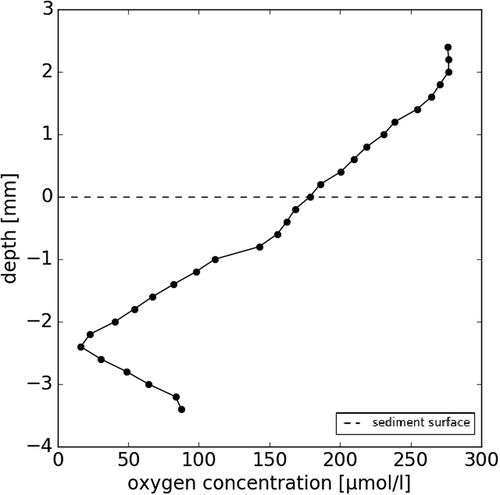 Figure 5. Oxygen profile measured using a microsensor within a 4 mm wide, spherical cryoconite granule