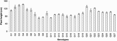 Figure 2. Plant height of 27 blast-resistant genotypes. Each column represents mean with standard error of each genotype; n = 3. G1, Black Banni; G2, Blau Noc; G3, Chirikata 2; G4, Choke Tang; G5, Chokoto 14; G6, IPPA; G7, IR 3257-13-56; G8, IR 5533-13-1-1; G9, IR 5533-14-1-1; G10, IR 5533-15-1-1; G11, IR 5533-50-1-10; G12, IR 5533-55-1-11; G13, IR 5533-56-1-12; G14, IR 5533-PP 854-1; G15, IR 9559-3-1-1; G16, IR 9559-4-1-1; G17, IR 9559-PP 871-1; G18, IR 9669-22-2-6; G19, IR 9669-PP 823-1; G20, Ja Hau; G21, Ja No Naq; G22, C; G23, F1 seed (BR16 × Karingam); G24, BR26; G25, BRRI dhan42; G26, BRRI dhan43; G27, BRRI dhan48.