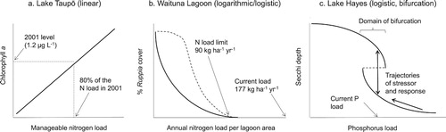 Figure 5. Conceptual illustration of 3 inferred S-R relationships as applied to 3 lakes with eutrophication problems. Uncertainty about the exact shape of the S-R relationship for Waituna Lagoon (b) is indicated by the 2 lines, showing that the correct relationship could be either logarithmic (continuous line) or logistic (dashed line). See text for explanations.