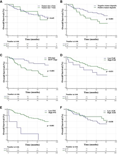 Figure 3 Kaplan-Meier survival curves of different variables in patients with rectal cancer. (A) Tumor size; (B) Tumor deposits; (C) TNM stage; (D) Prealbumin (PAB); (E) Prognostic nutritional index (PNI); (F) Albumin and globulin ratio (AGR).Abbreviations: TNM stage, T, Tumor (Topography), N, Lymph Node, M, Metastasis.