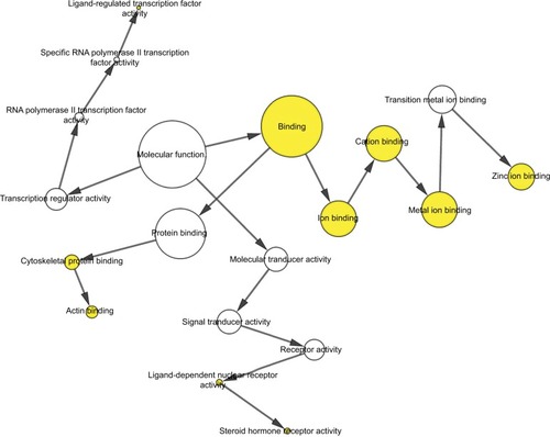 Figure 9 The MF network showed as an interaction network using the Cytoscape plug-in BiNGO.Notes: Color depth represented the degree of enrichment of GO terms. The significance of enrichment is represented by yellow color (P<0.05).Abbreviations: GO, gene ontology; MF, molecular function.