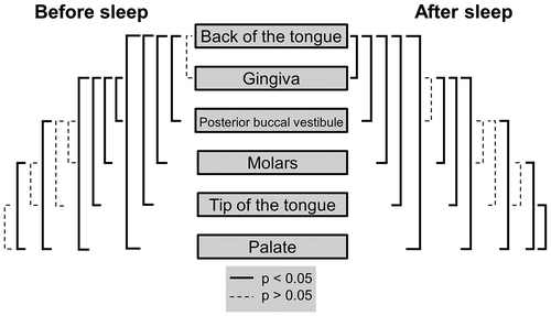 Figure 3. Mann-Whitney U tests for bacterial heterogeneity in the oral cavity before and after sleep. Significant differences between locations are represented by the solid black lines (p < 0.05). Non-significant differences are represented by the dashed black lines (p > 0.05). Mann-Whitney U test comparisons have been corrected for false discovery rates