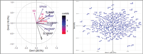 Figure 1. Contributing factor loading plot (a; left hand side) and score plot (b; right hand side) of the 196 sugarcane genotypes based on 13 agro-morphological traits.