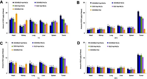 Figure 7 In vivo tissue distribution of NLCs and drugs injection (INJ) in tumor xenografts: DOX distribution at 1 hr (A) and 24 hr (B); ELE distribution at 1 hr (C) and 24 hr (D). Data is presented as means ± SD, n=8.