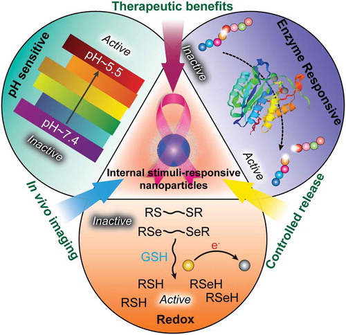 Figure 1. Development of functional biomimetic nanoparticles for precision drug delivery applications in cancer treatment.