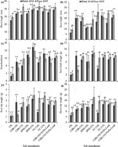 Figure 5. Effect of cotton-stick biochar and organic amendments on shoot length (a), root length (b), number of branches (c), root fresh weight (d), root dry weight (e), and shoot dry weight (f) of two chickpea varieties. The error bars are mean ± S.E. CK, control; CSB, cotton-sticks biochar; SPM, sugarcane press-mud; VC, vegetable compost.