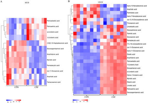 Figure 4. Analysis of differential fatty acids in egg yolks of aged laying hens (n = 8). Heatmap of differential medium- and long-chain fatty acids in egg yolks of aged laying hens at days 60 (A) and 120 (B) of the trial. CON, birds fed a basal diet; CHF, birds fed a basal diet supplemented with 1% Chinese herbal formula.