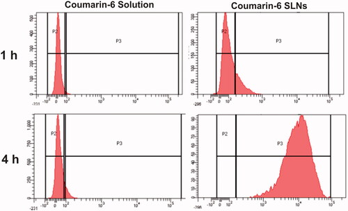 Figure 7 Histogram showing uptake of coumarin-6 solution, coumarin-6 loaded SLNs at different time points across Caco-2 cells.