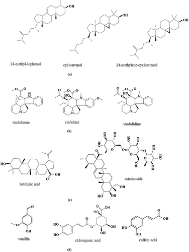 Figure 1. The putative metabolites have been reported as antidiabetes agents from selected herbal plants: a) phytosterol groups; b) alkaloid groups; c) triterpenoid groups; and d) phenolic groups.