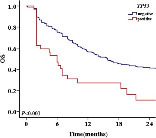 Figure 1. The 2-year OS of patients with and without TP53 mutations.