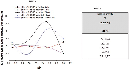 Figure 3. Panel A: Human prostatic 17β-hydroxysteroid dehydrogenase type 5 (17β-HSD5) activity in the presence of 2 mM NADPH, determined at different pH values. These data show the effect of labeled plus unlabeled concentrations of 4-dione (43, 87, 174, 313 μM) on the formation of labeled T. Panel B: Radiochemical purity of T isolated after HPTLC procedure, and determined by repetitive recrystallizations in the presence of the T standard. Cr, crystallization; ML, mother liquors.